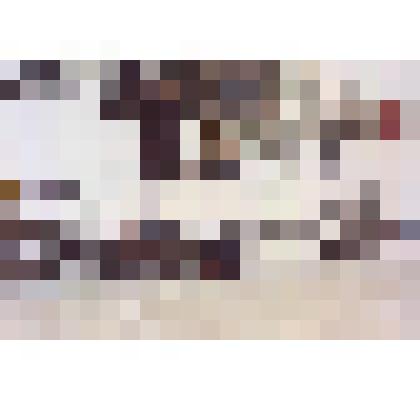 Фотография. Демонтаж буровой вышки на месторождении Одопту-море (Северный купол)