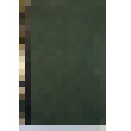 Энциклопедия Брокгауза и Эфрона. Том 27 (Внутри т. XIV)