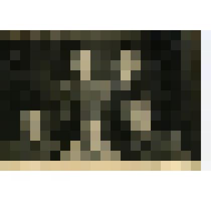 Фотография. Семья Цветковых, жителей села Коломенского