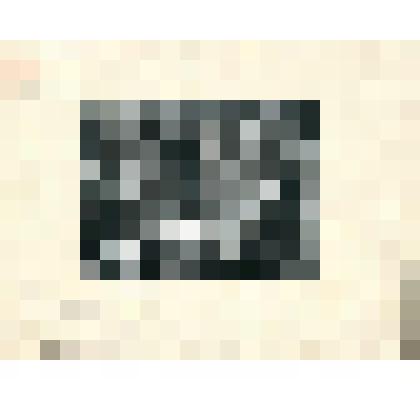 "Уголок двора". Гравюра