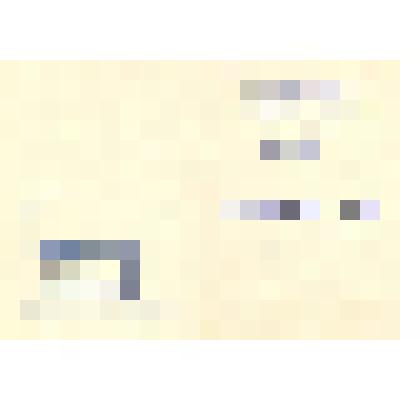 Пригласительный билет на торжественное собрание, посвященное столетию со дня рождения выдающегося ученого-кораблестроителя, профессора Бубнова Ивана Григорьевича