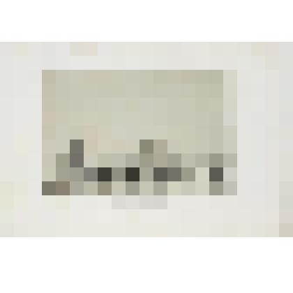 Литография. "Ладога. Шлиссербуржская крепость. Вид со стороны морских верфей."