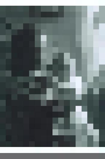 Фотокопия. Р.Я. Рудзитис с дочерью Гунтой (?) у окна. Переснимок с фотографии