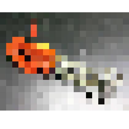 Сбивалка ручная механическая, из коллекции документальных, фотографических и вещевых материалов о Миловидовой Инне Борисовне (1929-2009), кандидате биологических наук, преподавателе биофака Саратовского государственного университета