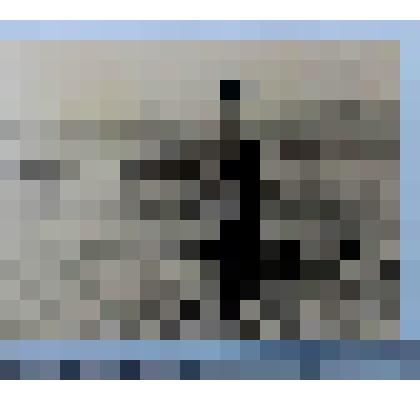 Сюжетная фотография Лещинской Антонины Сергеевны