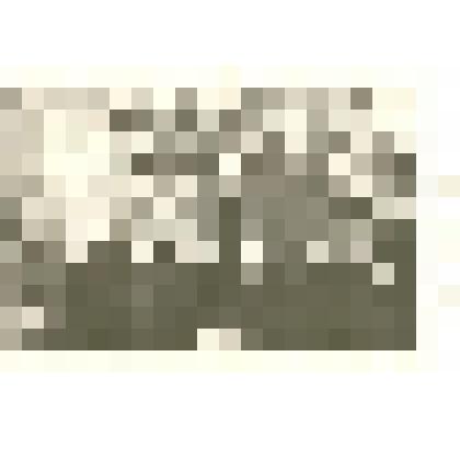 Фотография: возложение венков к бюсту В.И.Ленина учащимися школы №7