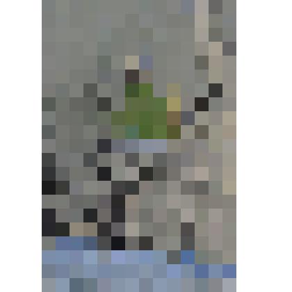 Ростовский кремль