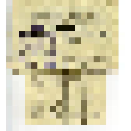 Лист талонов