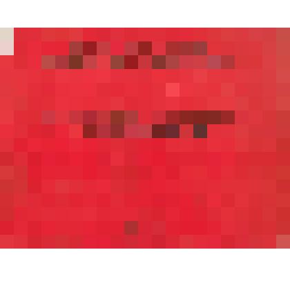 Проспект "Памятники боевой славы Подольска и Подольского района" автор Панков Дмитрий Дмитриевич