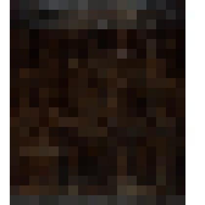 Встреча Марии и Елизаветы