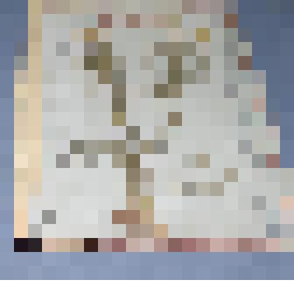 Ботаническая коллекция. Тысячелистник, на гербарном листе