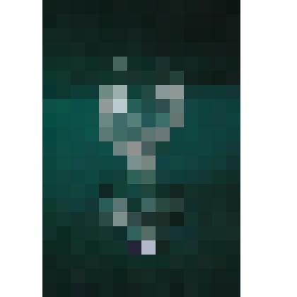 Рюмка для рейнвейна