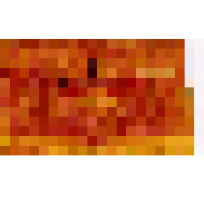 Бумажник Л.Н.Толстого