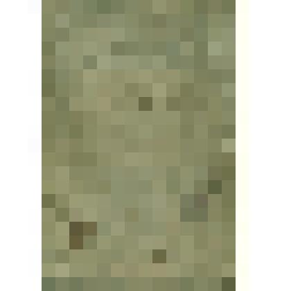 Книга  брачных обысков  Сольвычегодской  Богородице-Рождественской церкви