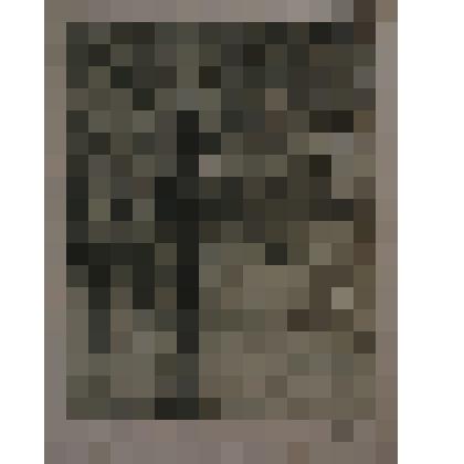 Обложка «Василий Шукшин «Сельские жители»