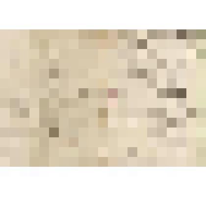 Документ. Письмо ХVIII века секретарю Головкову Алексею Дмитриевичу от настоятеля монастыря отца Михаила. " Милостивый государь мой Алексей Димитриевич..."