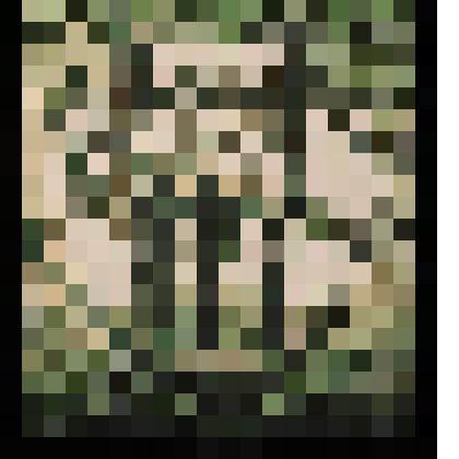 Композиция из серии «Энергореальность»