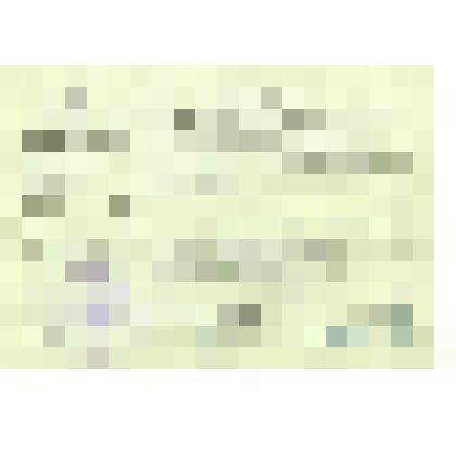 Документ. Пропуск № 061426 В. С. Рогалю на въезд и проживание в Эстонскую ССР