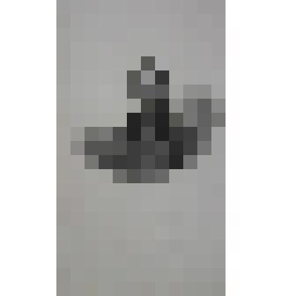 Портрет. Греч Николай Иванович