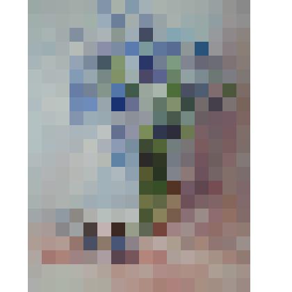 «Колокольчики и вишня»