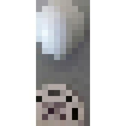 Мухоловка-пеструшка. Мухоловковые. Из коллекции птичьих яиц