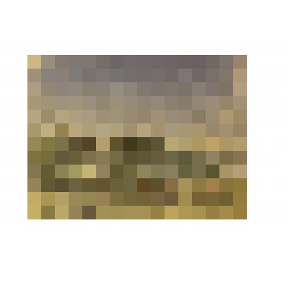 Рисунок
«Грузия. Цхалтубо. Поселок»