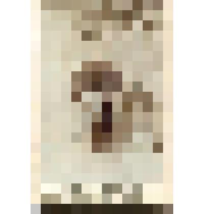 Фотография черно-белая. Портрет Я. Гуссиса