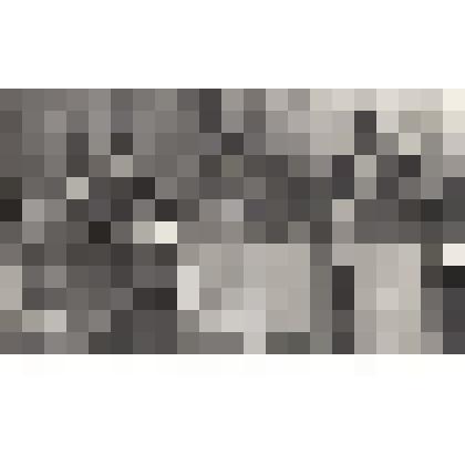 Ф/цв. Шипулин Василий Аристархович, ветеран ВОВ, на встрече с космонавтом Гречко Г.М. Энгельс. кон.1970 - нач.1980-х