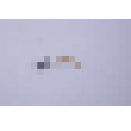 Подвеска из зуба песца