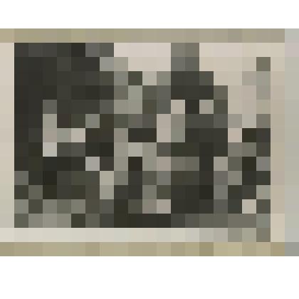 Фотокопия ч/б. Казахстанцы-панфиловцы в пионерском лагере Некрасово (около д. Андреевка)