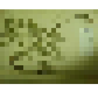 Гербарий. Горошек мышиный. Из гербария "Флора Ингрика"