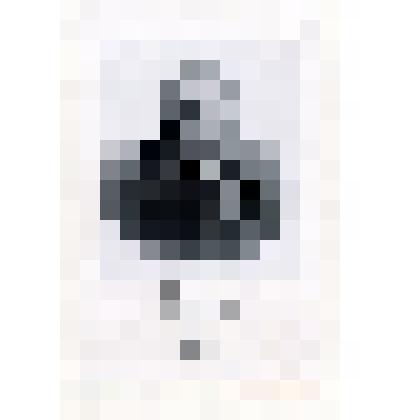 Литография. Портрет Фонвизина