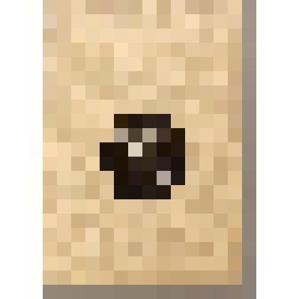 Сборник. Локальные особенности русского фольклора Сибири / отв. ред Т.Г. Леонова. - Новосибирск: Изд. "Наука", 1985. - 111 с