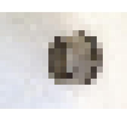 Котел очажный