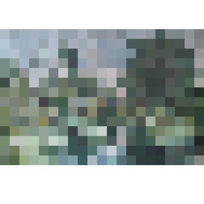 Обухов Лев Алексеевич (ученик Д.А. Трубникова) "Август"