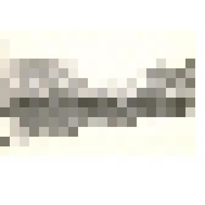 Фотография: демонстрация в г.Камень-на-Оби Алтайского края 7 ноября 1966 г