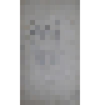 В повозке. Набросок в альбоме