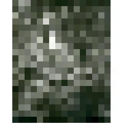 Фотография. Кладбище на р. Урок