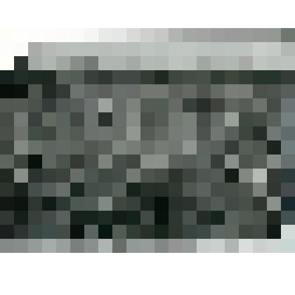 Фотография. Кочкарник