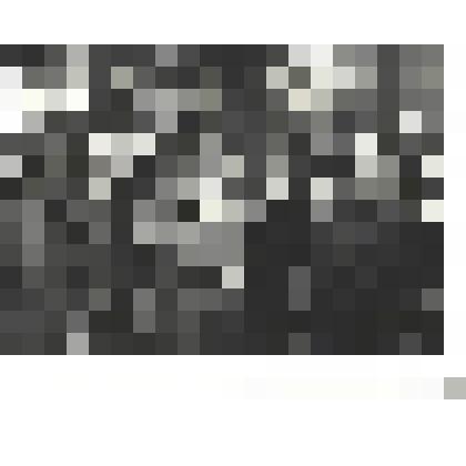 Фотографии. Фото ч/б. Первый день мира в Берлине, май 1945 г