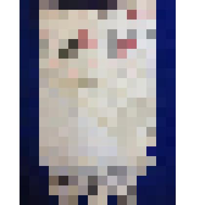 Полотенце вафельное