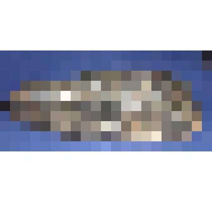 Туфля женская правая (чарка)