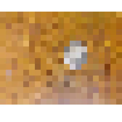 МОНЕТА "15 КОПЕЕК"