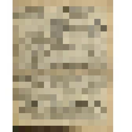 Газета. "Красный кавалерист" № 231