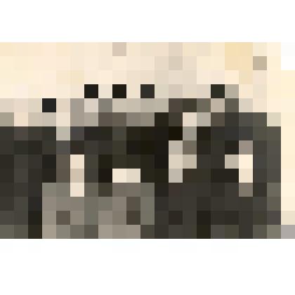 Фотография. «Ветераны труда I - Нерюктяя с героем Соц.Труда Бурлевой»