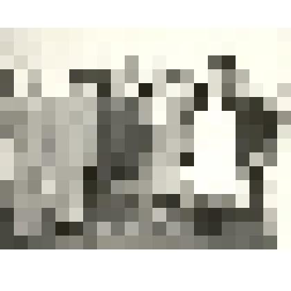 Фотография. «Делегаты районной партийной конференции»