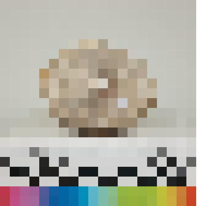 Панцирь ископаемого морского ежа. 
Род: Echinocoris sp. (Эхинокорис). Отряд Spatangoida (Спатангоиды)