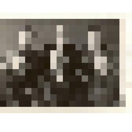 Фотография: бригада дояров Кировского отделения совхоза "Октябрь" Рябцев Г. (бригадир), Некрасова Н., Бычковская Л., Галыкова Л., Ощепкова М., Рябцева А