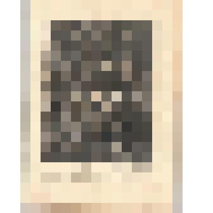 Совершеннолетие Людовика XIII