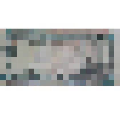 Банкнота Туркменистана 20 манатов 1995 года